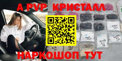 бошки Кимры