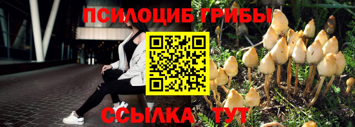 Электрогорск  Галлюциногенные грибы Psilocybe  наркошоп  Псилоцибиновые грибы мицелий  Вход с VPN 